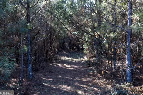 0 S U 82 Hwy E, Cuthbert, GA 39840 photo 14