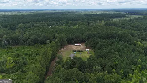 913 Berryville Rd, Clyo, GA 31303