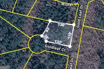 0 Gold Leaf Dr, Grantville, GA 30220