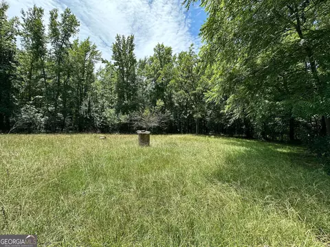 5657 Springfield Rd, Sparta, GA 31087 photo 8