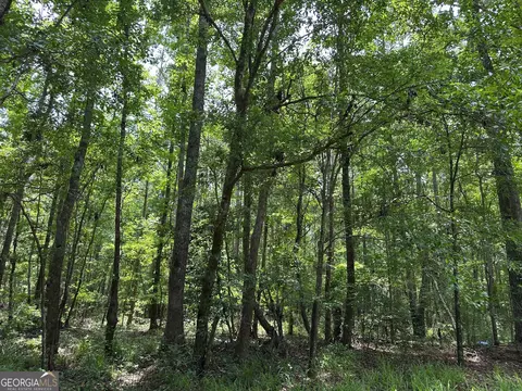 5657 Springfield Rd, Sparta, GA 31087 photo 29