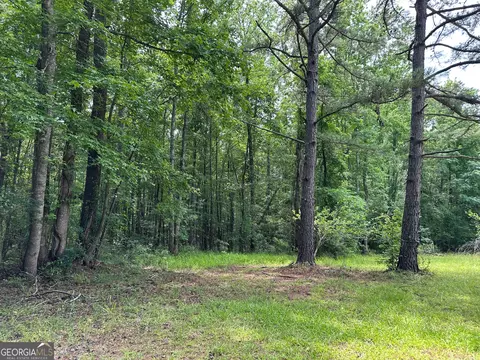 5657 Springfield Rd, Sparta, GA 31087 photo 18
