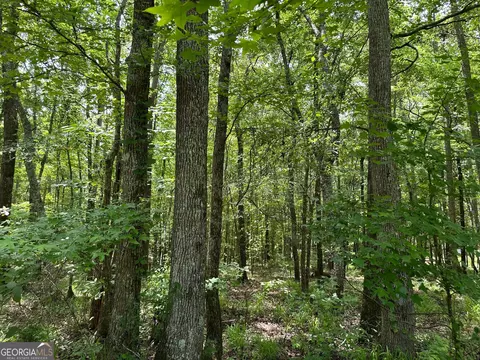 5657 Springfield Rd, Sparta, GA 31087 photo 25