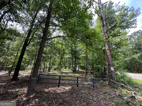 5657 Springfield Rd, Sparta, GA 31087 photo 31
