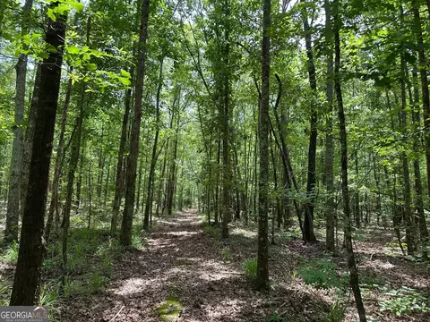 5657 Springfield Rd, Sparta, GA 31087 photo 26