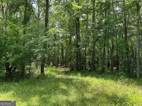5657 Springfield Rd, Sparta, GA 31087 photo 23