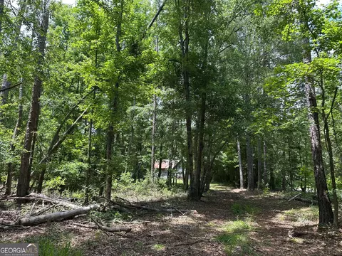5657 Springfield Rd, Sparta, GA 31087 photo 16