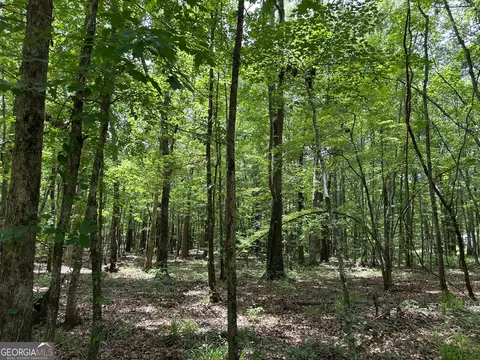 5657 Springfield Rd, Sparta, GA 31087 photo 27