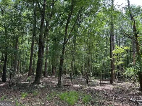 5657 Springfield Rd, Sparta, GA 31087 photo 30