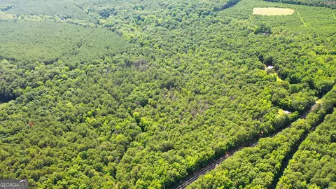 9 82 - Acres Springfield Rd, Sparta, GA 31087 photo 4