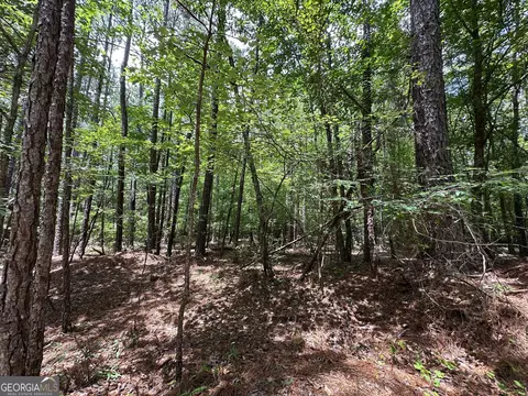 9 82 - Acres Springfield Rd, Sparta, GA 31087 photo 13