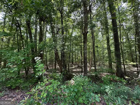 9 82 - Acres Springfield Rd, Sparta, GA 31087 photo 5