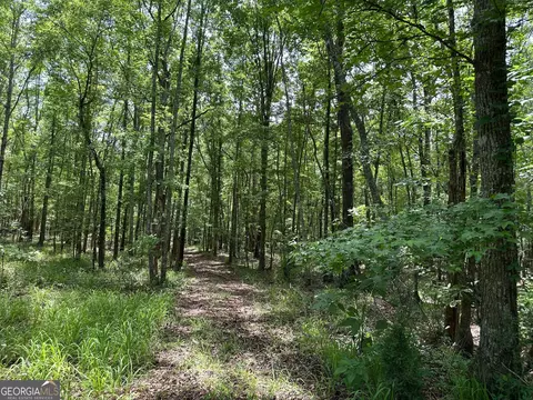 9 82 - Acres Springfield Rd, Sparta, GA 31087 photo 16