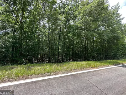 9 82 - Acres Springfield Rd, Sparta, GA 31087 photo 9