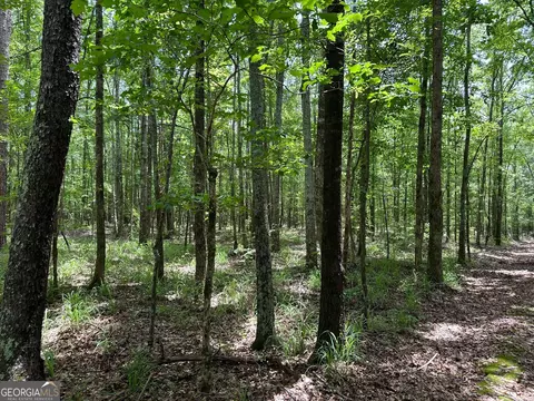 9 82 - Acres Springfield Rd, Sparta, GA 31087 photo 17