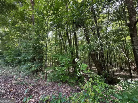 9 82 - Acres Springfield Rd, Sparta, GA 31087 photo 6