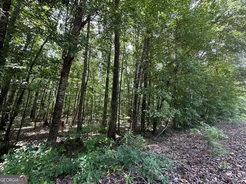 9 82 - Acres Springfield Rd, Sparta, GA 31087 photo 7