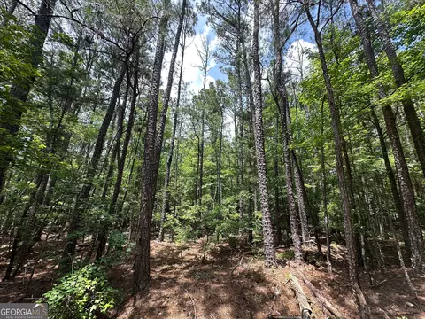 9 82 - Acres Springfield Rd, Sparta, GA 31087 photo 14