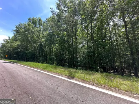 9 82 - Acres Springfield Rd, Sparta, GA 31087 photo 10