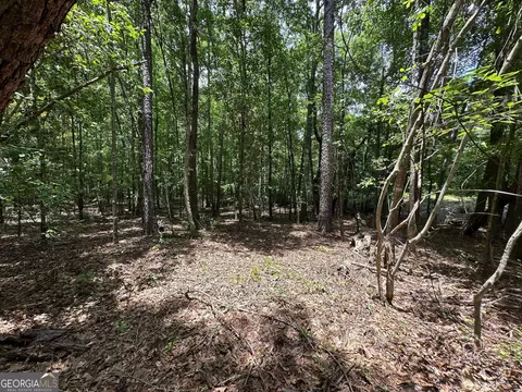 9 82 - Acres Springfield Rd, Sparta, GA 31087 photo 12