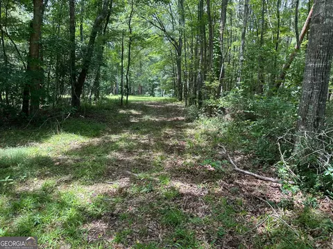 9 82 - Acres Springfield Rd, Sparta, GA 31087 photo 15