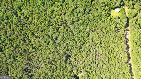 9 82 - Acres Springfield Rd, Sparta, GA 31087 photo 22