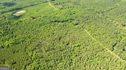 9 82 - Acres Springfield Rd, Sparta, GA 31087 photo 21