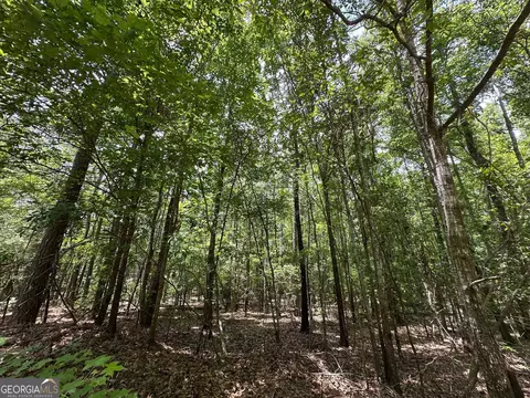 9 82 - Acres Springfield Rd, Sparta, GA 31087