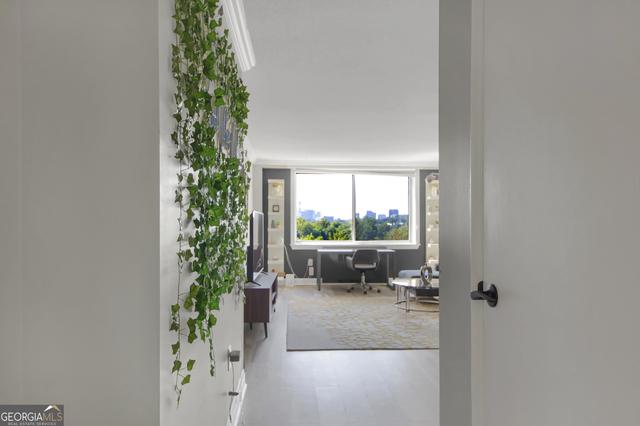 2479 Peachtree Rd #505, Atlanta, GA 30305