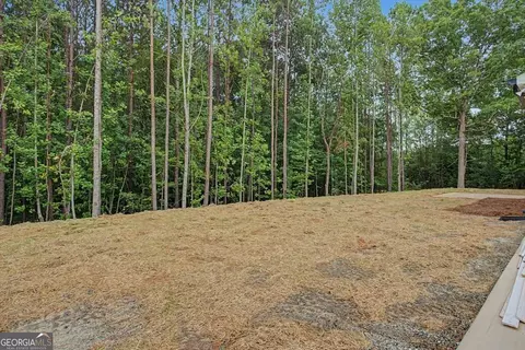 201 Loftis Rd, Temple, GA 30179 photo 30