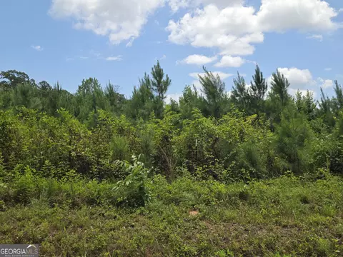 0 Wehunt Rd, Covington, GA 30016 photo 4