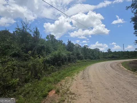 0 Wehunt Rd, Covington, GA 30016 photo 7