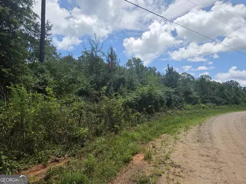 0 Wehunt Rd, Covington, GA 30016 photo 8