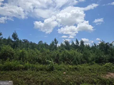 0 Wehunt Rd, Covington, GA 30016 photo 5