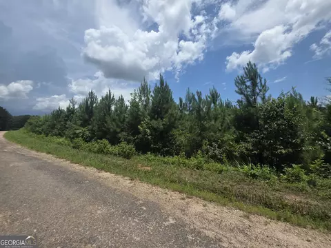 0 Wehunt Rd, Covington, GA 30016 photo 2