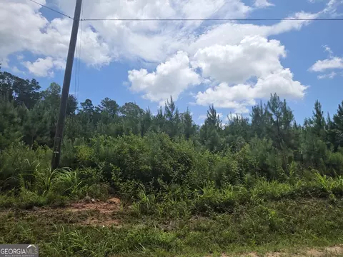 0 Wehunt Rd, Covington, GA 30016 photo 6