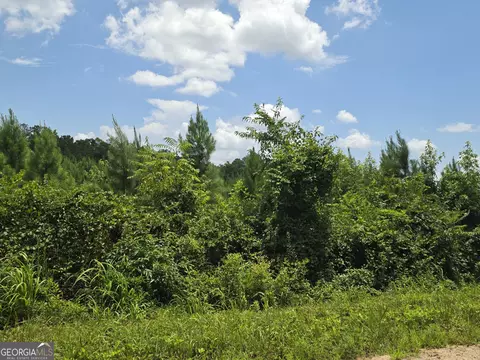 0 Wehunt Rd, Covington, GA 30016 photo 3