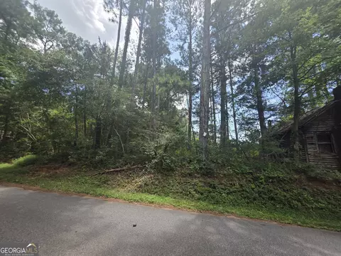 0 Wehunt Rd, Covington, GA 30016 photo 10