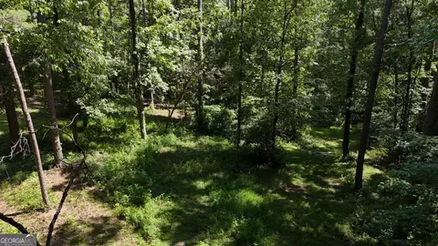115- Lot 101 Pa Shoal Creek Dr, Sharpsburg, GA 30277