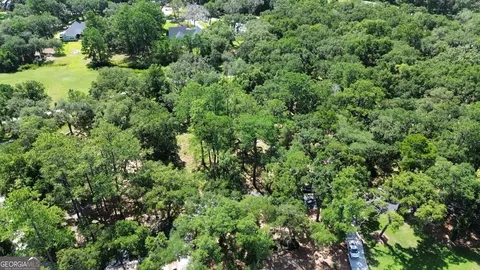 0 Sutherland Bluff Dr, Townsend, GA 31331 photo 8