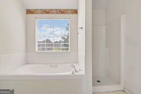 Bath - 11050 Pebble Brook Ct, Hampton, GA 30228 photo 2 of 4