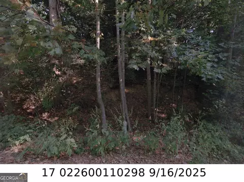 X Newman Pl, Atlanta, GA 30318