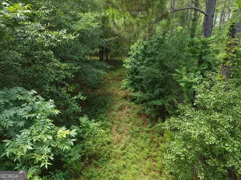 775 Fains Hatchery Rd, Edison, GA 39846 photo 8