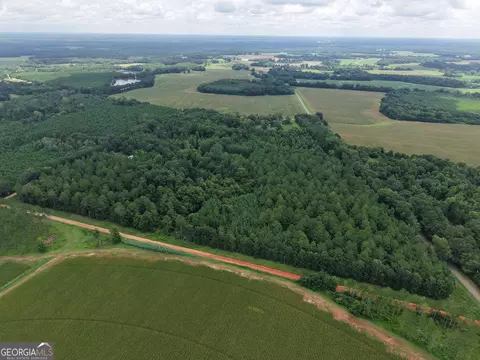 775 Fains Hatchery Rd, Edison, GA 39846 photo 20