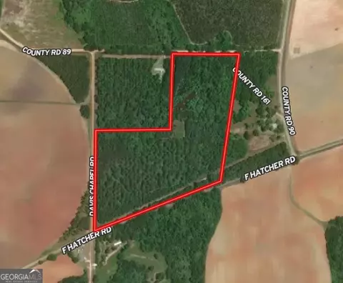 775 Fains Hatchery Rd, Edison, GA 39846 photo 21