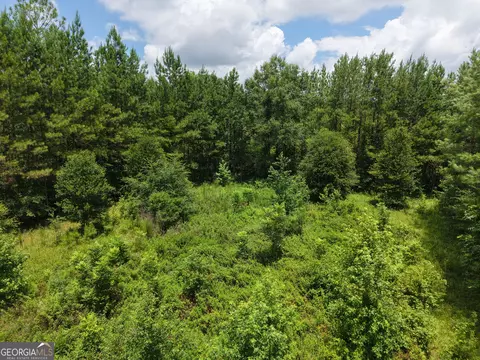 775 Fains Hatchery Rd, Edison, GA 39846 photo 13