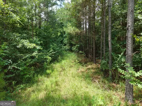 775 Fains Hatchery Rd, Edison, GA 39846 photo 11