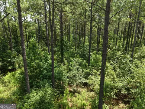 775 Fains Hatchery Rd, Edison, GA 39846 photo 5