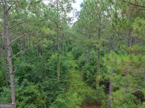 775 Fains Hatchery Rd, Edison, GA 39846 photo 9
