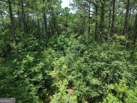 775 Fains Hatchery Rd, Edison, GA 39846 photo 6